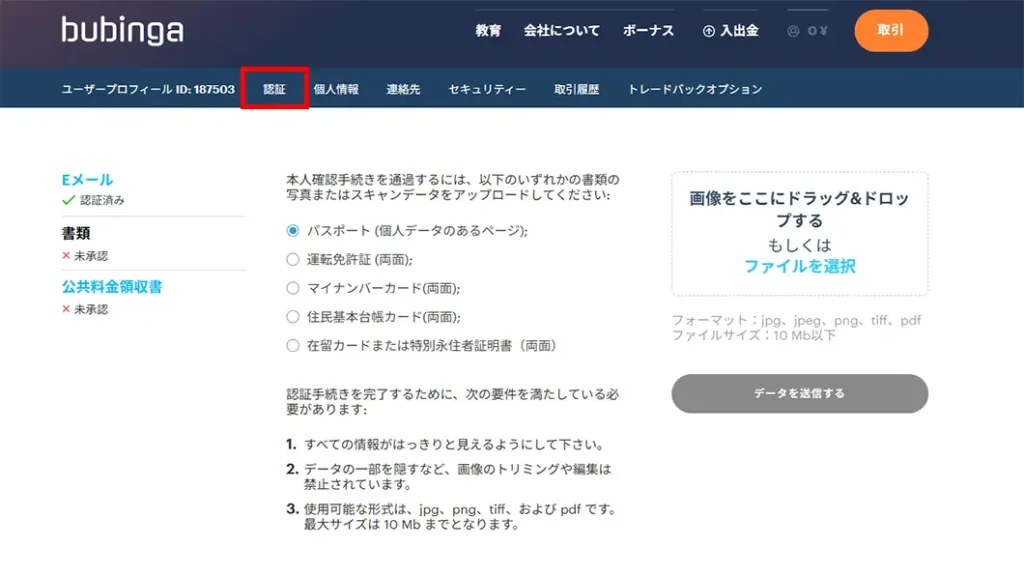 ブビンガバイナリーの認証手順のキャプチャー画像